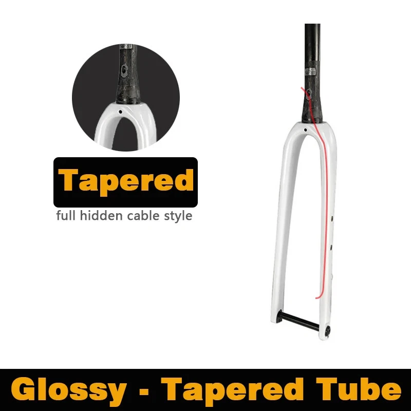 Horquilla Gravel Carbono Cónico Bicicleta Horquilla Delantera 700C x 45C Eje Pasante 12x100mm Foto 1 de 4