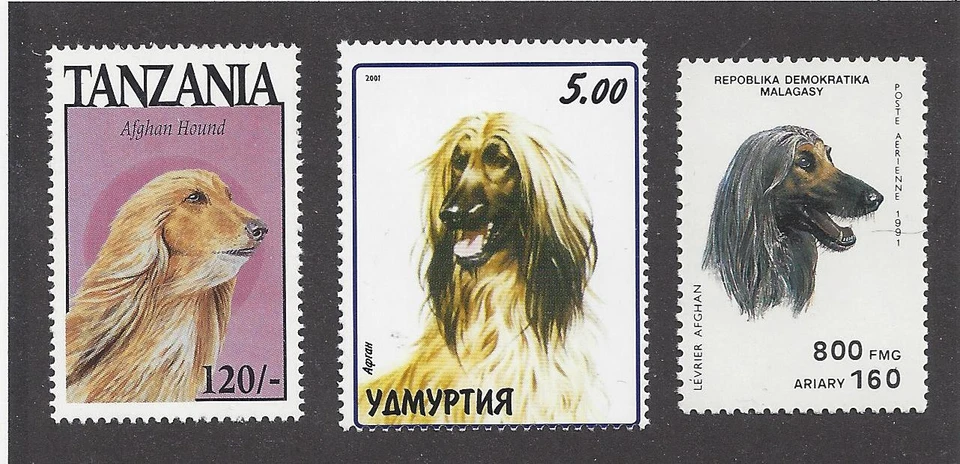 Dog Art Head Study Portrait Postage Stamp Collection BM Red AFGHAN HOUND 3 x MNH - Image 1 of 1