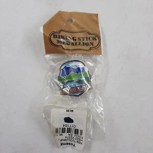 Brass Medalion Yosemite Walking Stick Cane Tolumne Meadows Vintage  1.25x1.75" - Picture 1 of 7