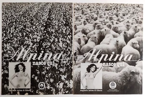 Pubblicita' Alpina Maglieria Intima 2 Fogli Vintage Ads Advertising 1980 (R8) - Picture 1 of 2