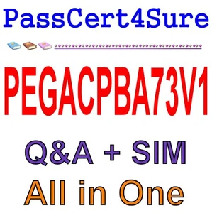 PEGACPBA73V1 Exam Q&A+SIM - Picture 1 of 1