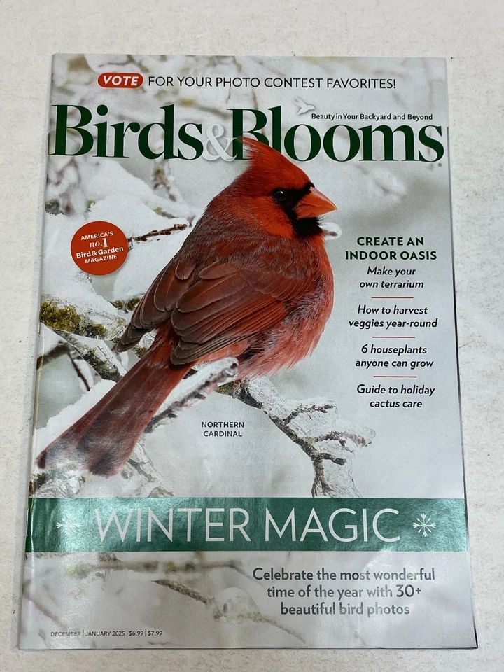 Birds & Blooms Magazine Dec 2024 Jan 2025 Male Northern Cardinal Indoor Oasis - Image 1 of 1