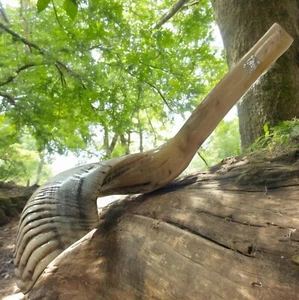 XXL Classical Ram's Ram Horn Kosher Shofar 23" 58 CM Full Natural easy to blow - Picture 1 of 24
