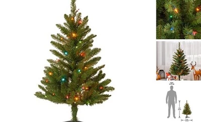  Artificial Pre-Lit Mini Christmas Tree, Green, Kingswood Fir, Multicolor  - Image 1 of 4