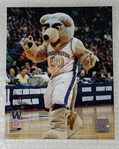 Harry el Husky Mascota Washington Huskies 8""x10"" Licencia Oficial NCAA (2008) - Imagen 1 de 6
