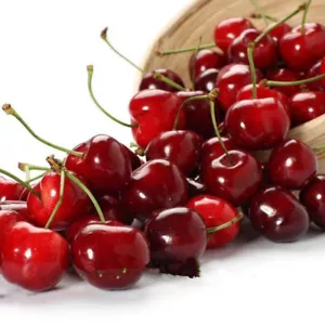 Sweet Cherry Prunus Fruit Tree Cerasus Bonsai Plants Potted for Home Garden - Picture 1 of 11