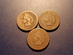 Lot of 1859 & 1862 Indian Head Cents - Picture 1 of 2