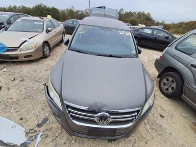 Volkswagen Tiguan 2011 panel de capó usado genuino OEM camioneta local solamente Foto 1 de 4
