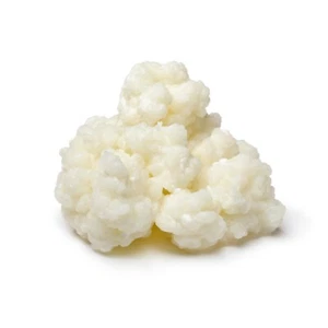 Granos de kéfir de leche viva orgánica de 10 g con instrucciones impresas probados en laboratorio - Imagen 1 de 1