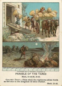 Christian Picture Lessons Card Parable of the Tares 1910 - Picture 1 of 2