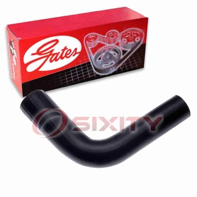 Gates Lower Radiator Coolant Hose for 1959 Studebaker 4E7 4.7L V8 Belts je - Image 1 of 4