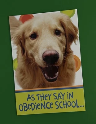 ~ GET WELL SOON GREETING CARD W/ CUTE DOG ~UPLIFT SPIRITS/FUN/GET WELL/ ALL AGES - Image 1 of 3