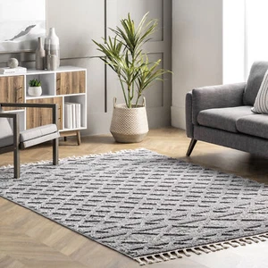 nuLOOM Dottie Soft Shaggy Textured Trellis Tassel Area Rug in Grey - Picture 1 of 7