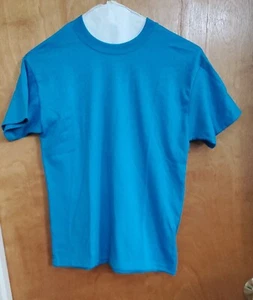 boy's m aqua hanes short sleeve t shirt - Picture 1 of 1