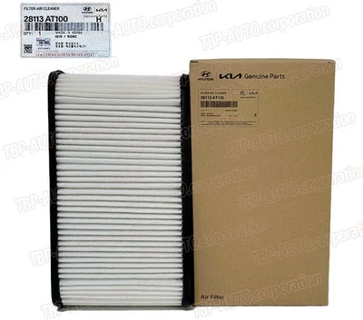 Filtro de aire de motor original OEM ® 1,6 L para 2023-2025 Kia Niro 28113AT100 Foto 1 de 3