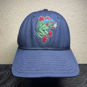 Vintage 90’s DeLong Fitted 7 3/4" Hat Minor League Baseball AquaSox Dart Frog - Bild 1 von 6