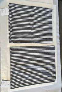 Pottery Barn Bryer Pillow Covers Striped Lumbar 2 Blue Coastal Beach 16” x 26” - Picture 1 of 24