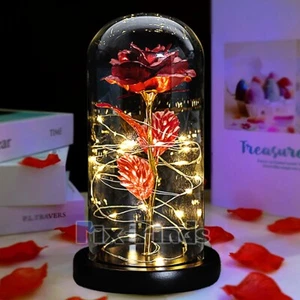 Galaxia Eterna Rosa Roja en Vidrio LED Flor Encantada Navidad San Valentín Regalos - Imagen 1 de 16