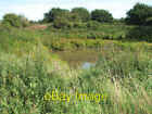 Photo 6X4 Overgrown Pond Beside Path To Avenue Farm Bergh Apton C2009