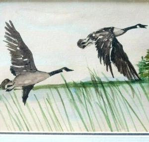 Envol des Canards  Aquarelle Signée Cadre - Picture 1 of 6
