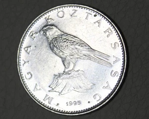 * 1995 HUNGARY 50 FLORINT NICE CIRCULATED FALCON WITH WEAR #LOR76 - Picture 1 of 6