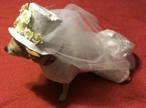 Brautkleid/Kostüm mit Hut für kleine Hunde - Bild 1 von 7