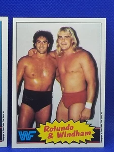 1985 OPC WRESTLING #18 Rotundo & Windham RC NRMT AA3491 - Imagen 1 de 1