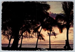 Palm Tree Silhouette Sunset In Hawaii, postal 1969, eslogan tuberculosis cancelar - Imagen 1 de 2
