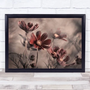 Impresión de arte de pared de jardín bokeh botánico flores rojas marchitas - Imagen 1 de 1