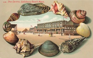 LP45  Salisbury Beach The Centre Massachusetts Shell Border Embossed Postcard - Picture 1 of 2