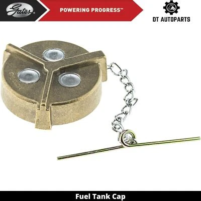 Puertas tapa tanque combustible Ford LN8000 1990-1997 1991 1992 1993 1994 1995 1996 Foto 1 de 4