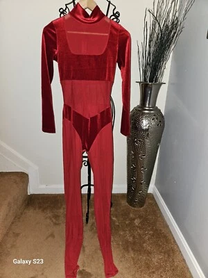 Sexy traje de gato de malla rojo oscuro Foto 1 de 4