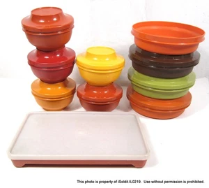 19-PC VTG LOT 1970s TUPPERWARE FALL HARVEST BOWLS & LIDS, DELI STORAGE CONTAINER - Picture 1 of 6