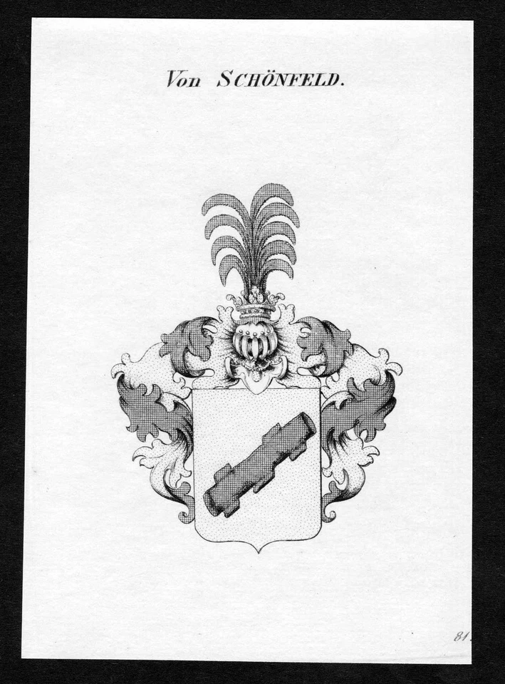 ca.1820 Schönfeld Schönfeldt Wappen Adel coat of arms Kupferstich antique print - Bild 1 von 1