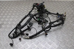 Kawasaki VN 1700 Vulcan Nomad 2011 arnés de telar de cableado 2009 - 2013 - Imagen 1 de 9
