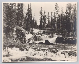 Bechler River Cascade Haynes Photo No. 21087 Yellowstone WY 1920s - Bild 1 von 2
