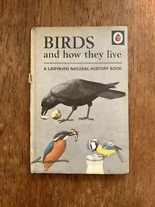 Vintage Ladybird Book Series 651 Birds And How They Live 1st Edition 2'6d 1966 - Bild 1 von 4