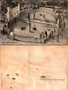 Postcard Bern Bear Pit - Barengehege, Switzerland Vintage Scene - Picture 1 of 1