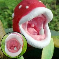 100 Pcs Insect-Catching Plant Enchantress Carnivorous Pot Bonsai seeds RARE