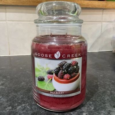 Goose Creek  Mulberry Large Jar. New in Mint Condition  - Image 1 of 3