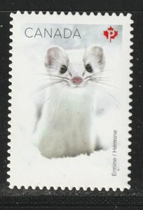 Ermine, Snow Mammals, Die Cut Stamp from Booklet Canada 2021 #3276i - Picture 1 of 1