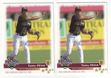 2003 Grandstand California-Carolina League All Stars Tony Pena 2 Card Lot