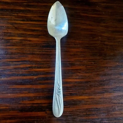 Cuchara de pomelo Holmes & Tuttle 1940 chapada en plata "Flor de prado" H&T MFG CO Foto 1 de 4