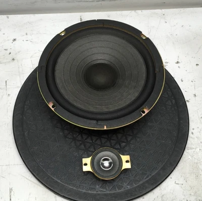 Tweeter y altavoz de repuesto Sanyo SSG-255 - probado Foto 1 de 4