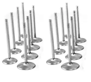 Chevy Chevrolet GMC 4.3 4.3L 262 V6 Intake+Exhaust Valves Set/12 1985-1997 VIN-Z - Picture 1 of 5