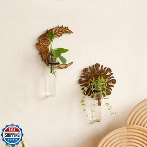 2 Pack Plant Propagation Station - Wall Hanging Star Moon Terrarium for Hydro - Picture 1 of 5