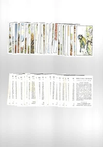 ZIGARETTENKARTEN. Gallaher Tabak. Britische Vögel. (48 Stück). (1937). - Bild 1 von 1