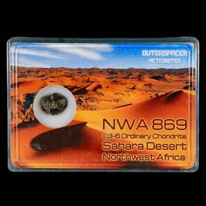 NWA 869 Meteorite Sahara Desert Northwest Africa Display L3-6 Chondrite 1.46 - Picture 1 of 5