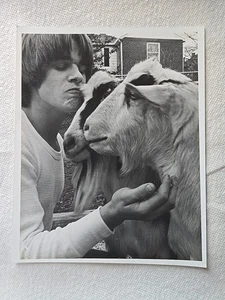 Goats and a young man 1970's Real Original Photo 8x10 - Picture 1 of 1