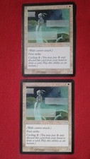 Shimmering Barrier x2 (Urza's Saga) MTG